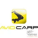 Avid Carp