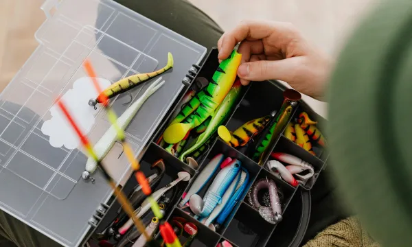 csali-mucsali-ragadozo-halakhoz