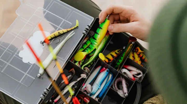 csali-mucsali-ragadozo-halakhoz