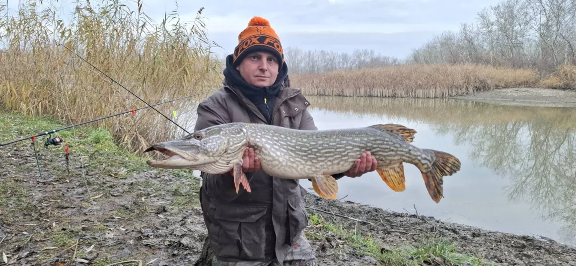 csuka-fogas-tisza-to