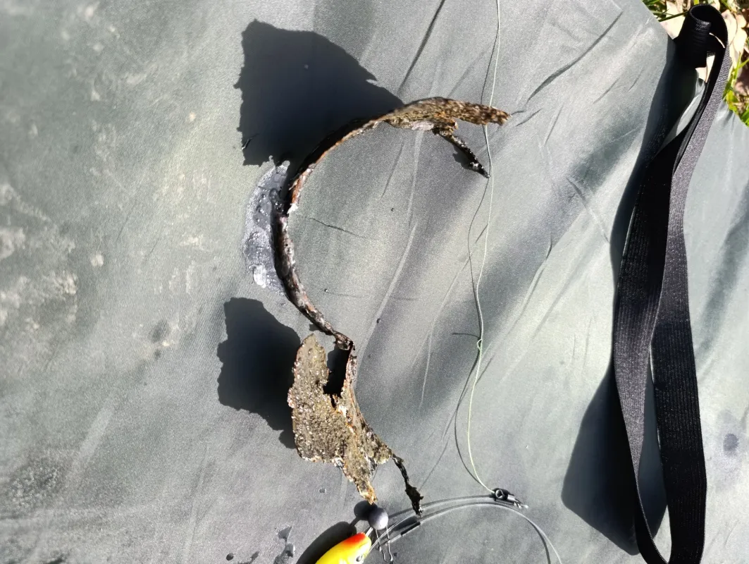 csukara-szorult-konzervdoboz