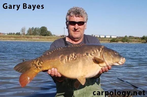 garybayes