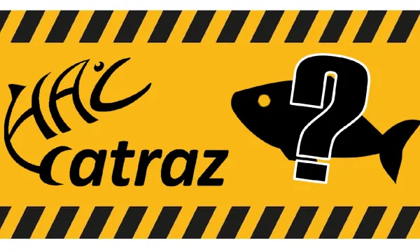 hal-horgasz-webshop-halcatraz