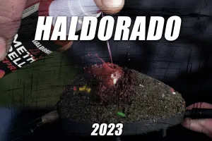 haldo2023 2