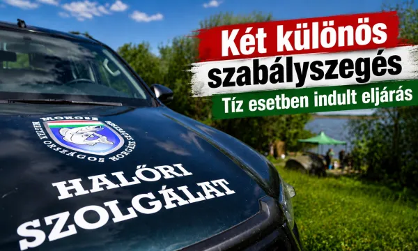 halori-intezkedes-szabalyszeges