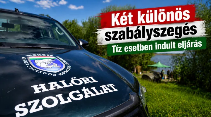halori-intezkedes-szabalyszeges
