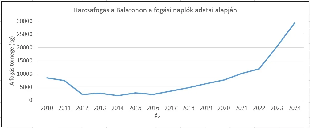 harcsaállomány növekedés