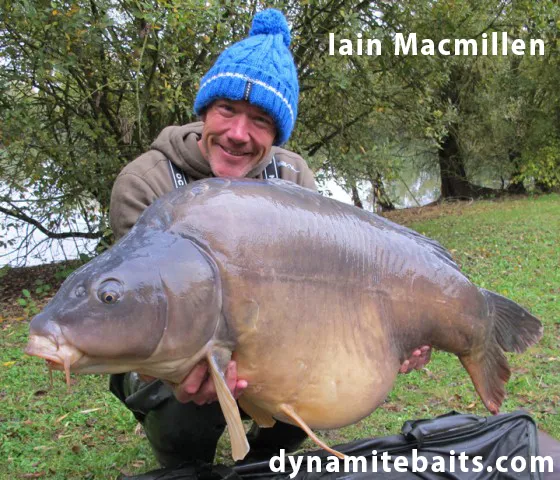 iainmacmillan