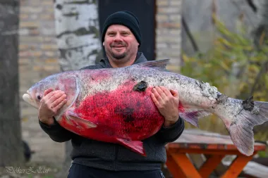 kapitalis-busa-fogas