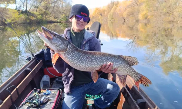 kapitalis-csuka-pergetes