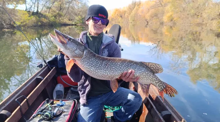 kapitalis-csuka-pergetes