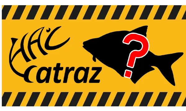 kulonleges-deverkeszeg-horgasz-webshop