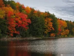 lake large01 300x225