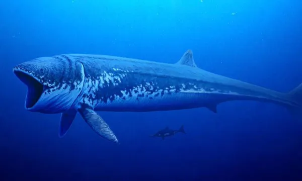 leedsichthys