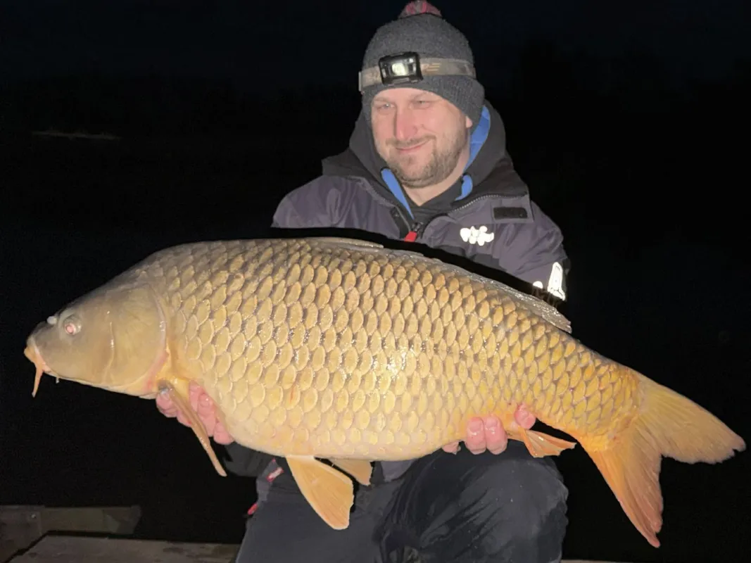 methodos-horgaszat-ponty-fogas