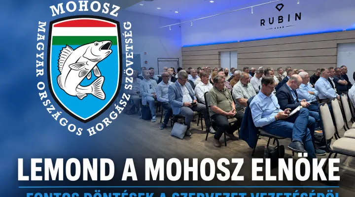mohosz-ules