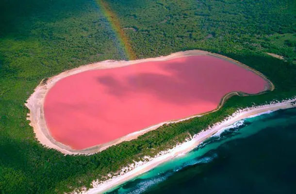 pink lake