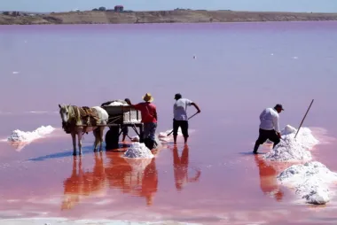 pink masazir lake or masazirgol azerbaijan