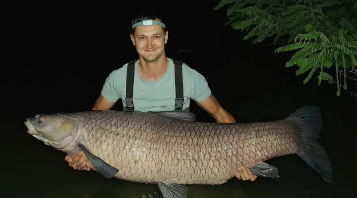 rekord-fekete-amur