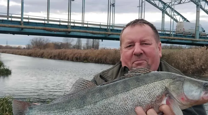 sullo-halallomany-bovites