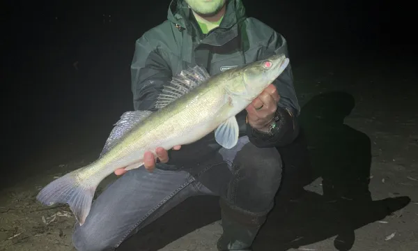 s&uuml;llő horg&aacute;szat