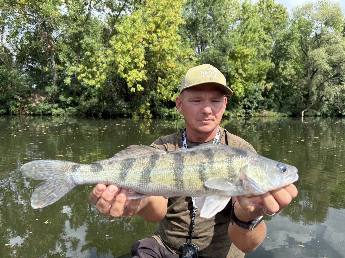 sullo-kosullo-kapitalis-fogas