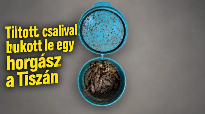 tiltott-csali-kereszlarva-tiszavirag