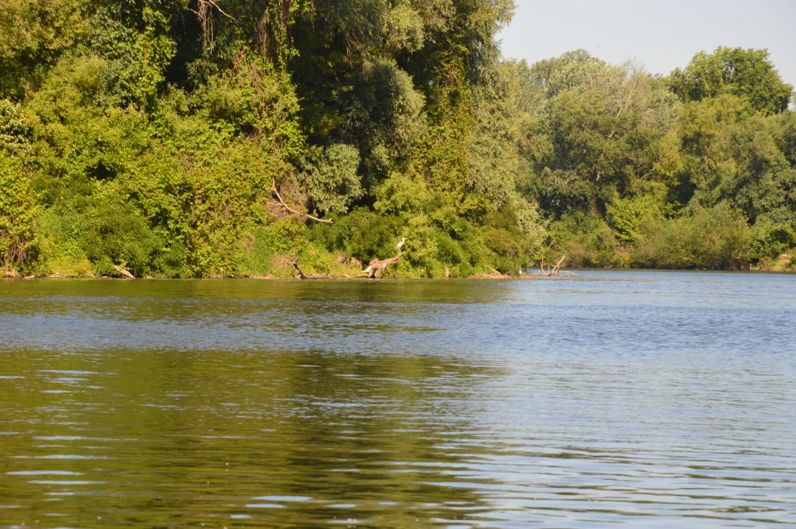 Tisza-folyo-horgaszat