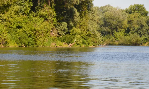 Tisza-folyo-horgaszat