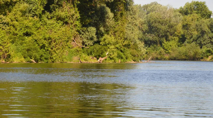 Tisza-folyo-horgaszat