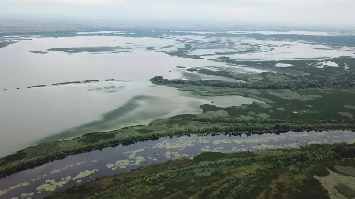 tisza tavi sporthorgász