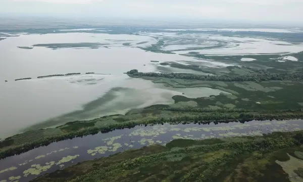 tisza tavi sporthorgász