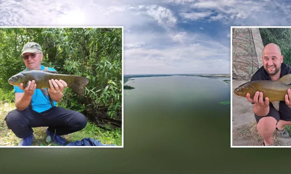 tisza-to-compo-fogas