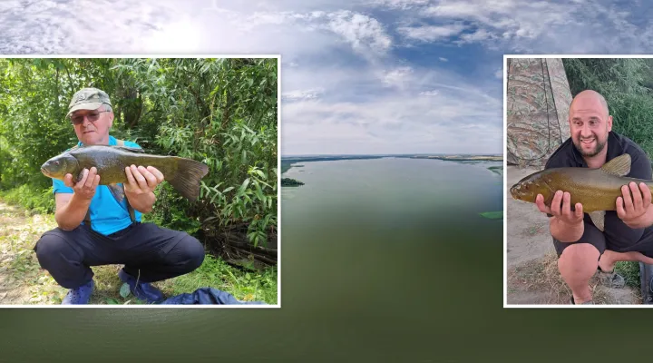 tisza-to-compo-fogas