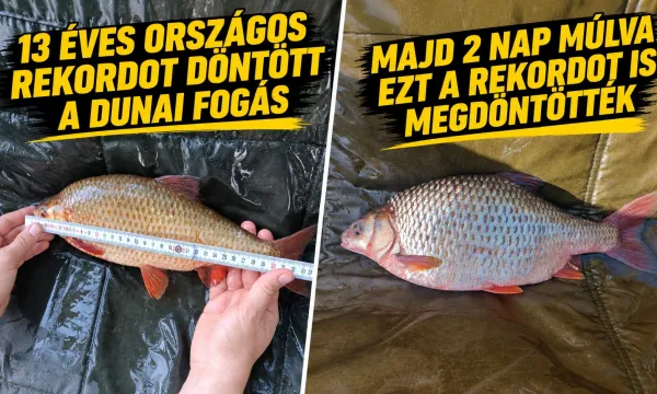 uj-bodorka-rekordfogas