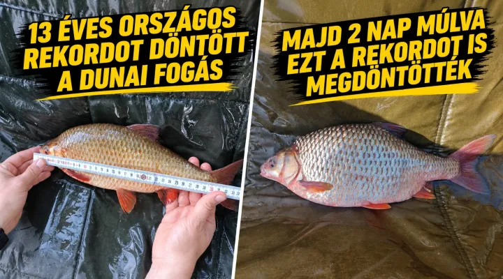 uj-bodorka-rekordfogas