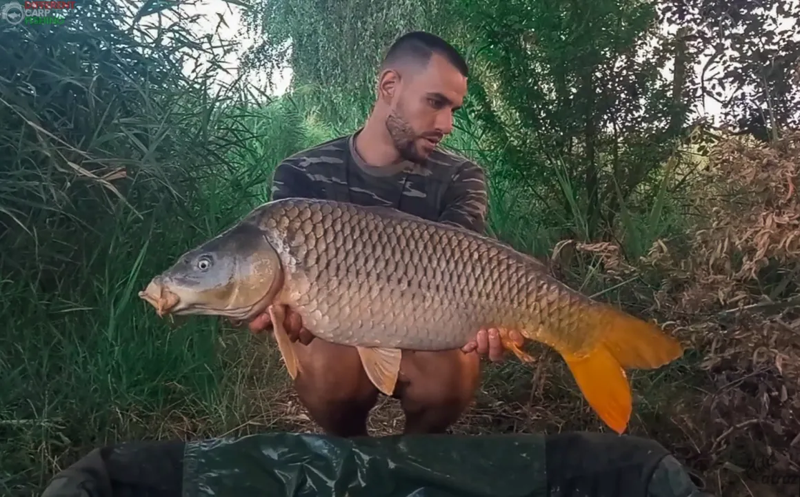 utanpotlas2 3