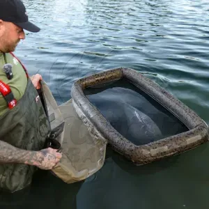 Solar SP C-TECH Floatation Cell - Solar Felfújható Lebegő Halbölcső