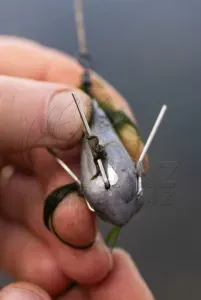 Korda Grapple Lead 3oz - Helykereső Marker Ólom
