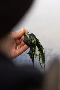 Korda Grapple Lead 4oz - Helykereső Marker Ólom