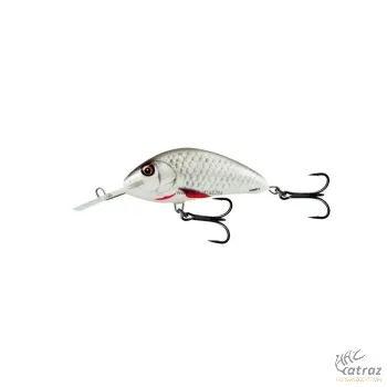 Salmo Hornet H2S D - Dace