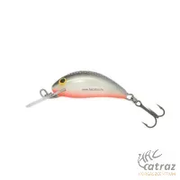 Salmo Hornet H3F GS - Grey Silver