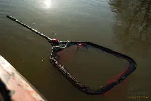 Fox Rage Speed Flow Folding Net Medium - Fox Rage Összecsukható Ragadozóhalas Merítő Közepes