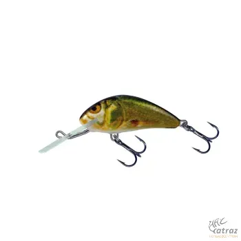 Salmo Hornet H3F GSM - Gold Shiner Minnow