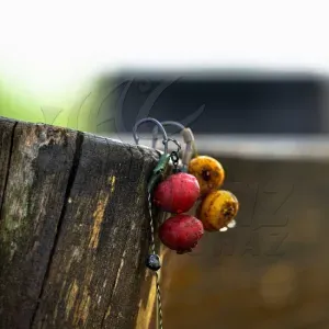 Stég Soaked Tigernut Garlic - Stég Product Főzött Tigrismogyoró Fokhagyma