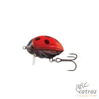 Salmo Lil Bug BG2F LB - Ladybird