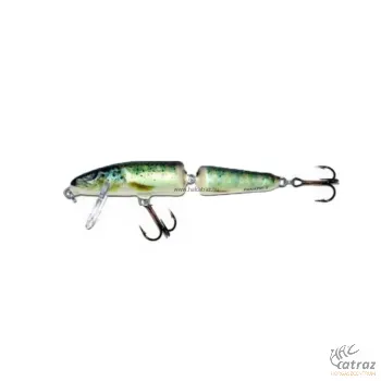 Salmo Fanatic IF7F RTR - Rainbow Trout