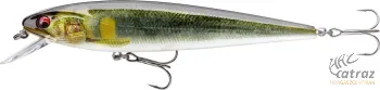 Daiwa PX Minnow SR 120 Live Ayu