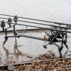 Avid Lok Down Low Pod - Avid Carp Rod-Pod