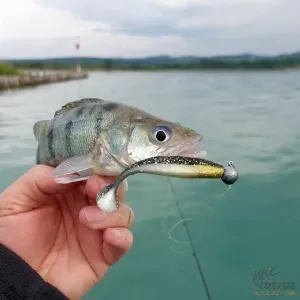 Reiva Jigfej 28 gramm - Méret: 6/0 - Reiva Ultra Sharp Jig Head